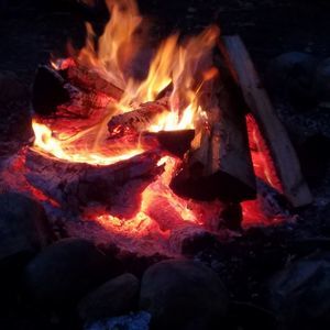 Meet your Posher, Meredith